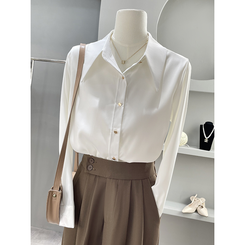 Long Sleeve Shirts Womens Chif - огляд і ціна Women Formal Wear Korean