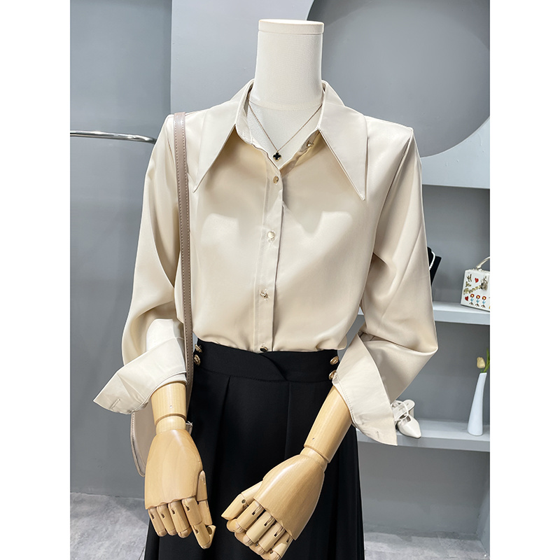 Long Sleeve Shirts Womens Chif - огляд і ціна Women Formal Wear Korean