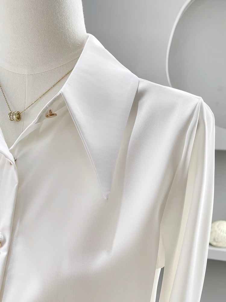 Long Sleeve Shirts Womens Chif - огляд і ціна Women Formal Wear Korean