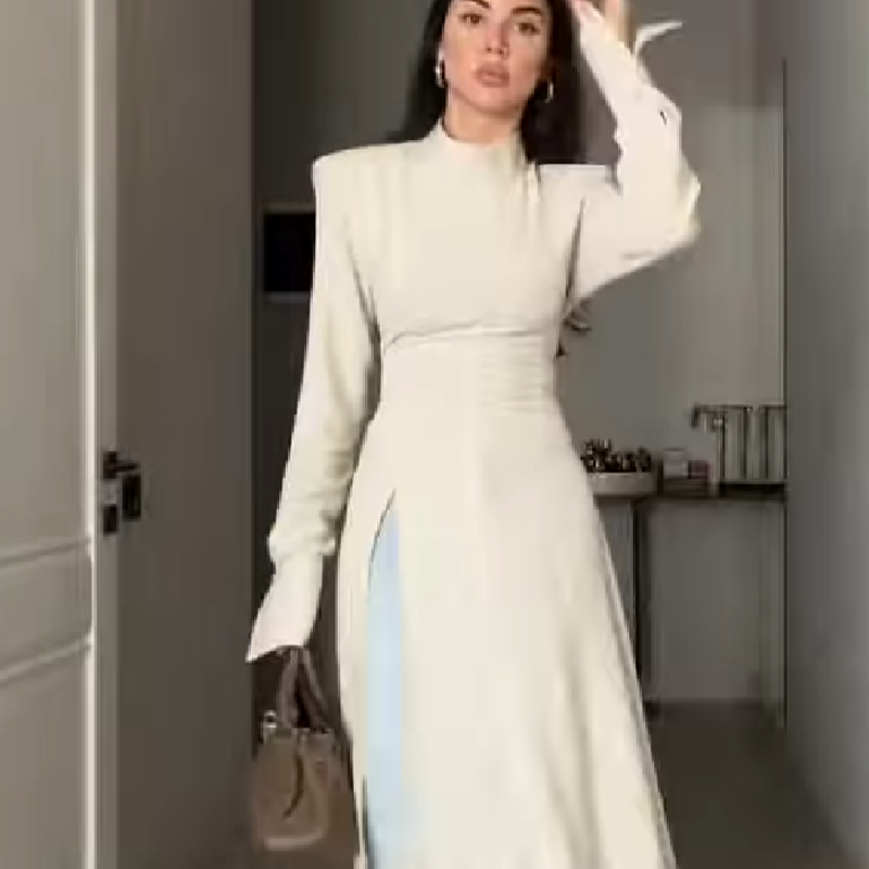 Women's Elegant High Neck Long - огляд і ціна Women Formal Office Wear Tops
