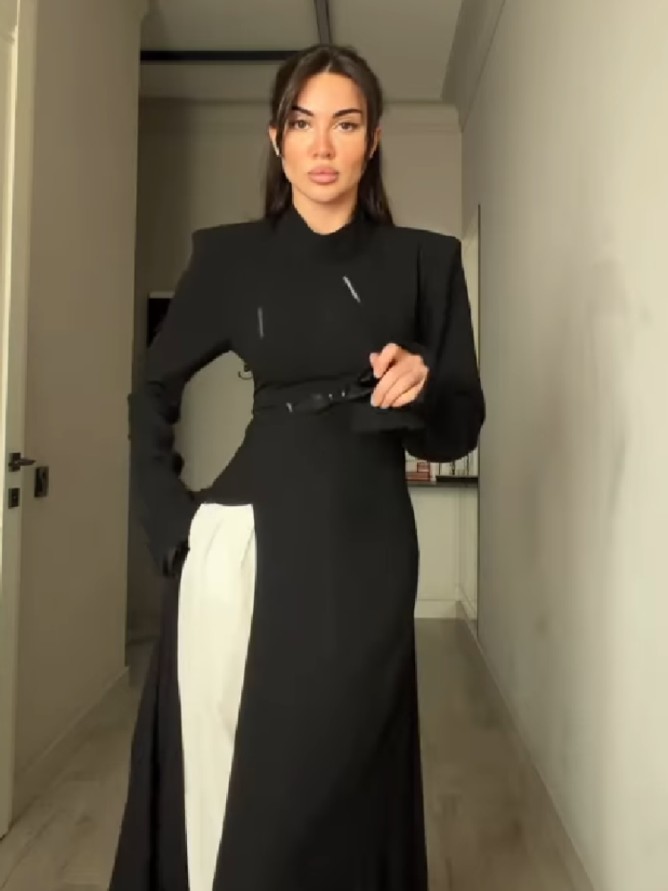 Women's Elegant High Neck Long - огляд і ціна Women Formal Office Wear Tops