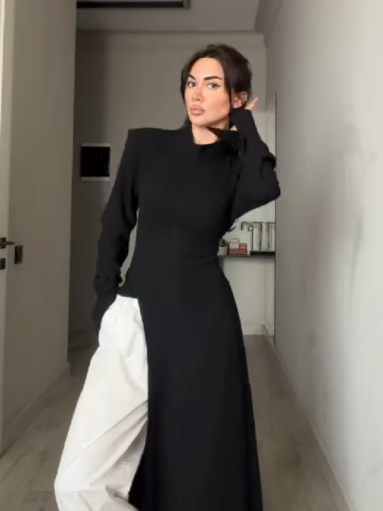 Women's Elegant High Neck Long - огляд і ціна Women Formal Office Wear Tops