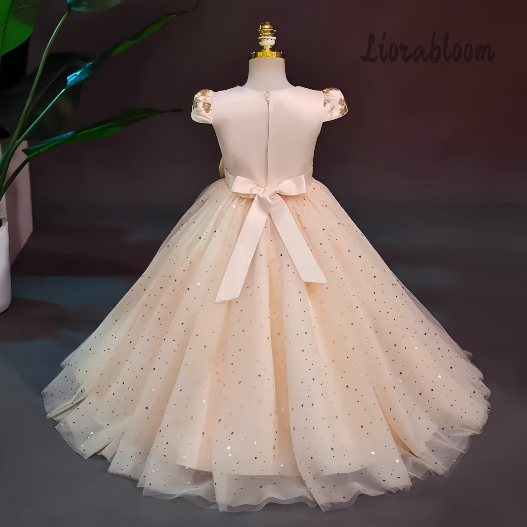 Formal Multicolor Evening Gown - огляд і ціна Women Formal Wear Dress