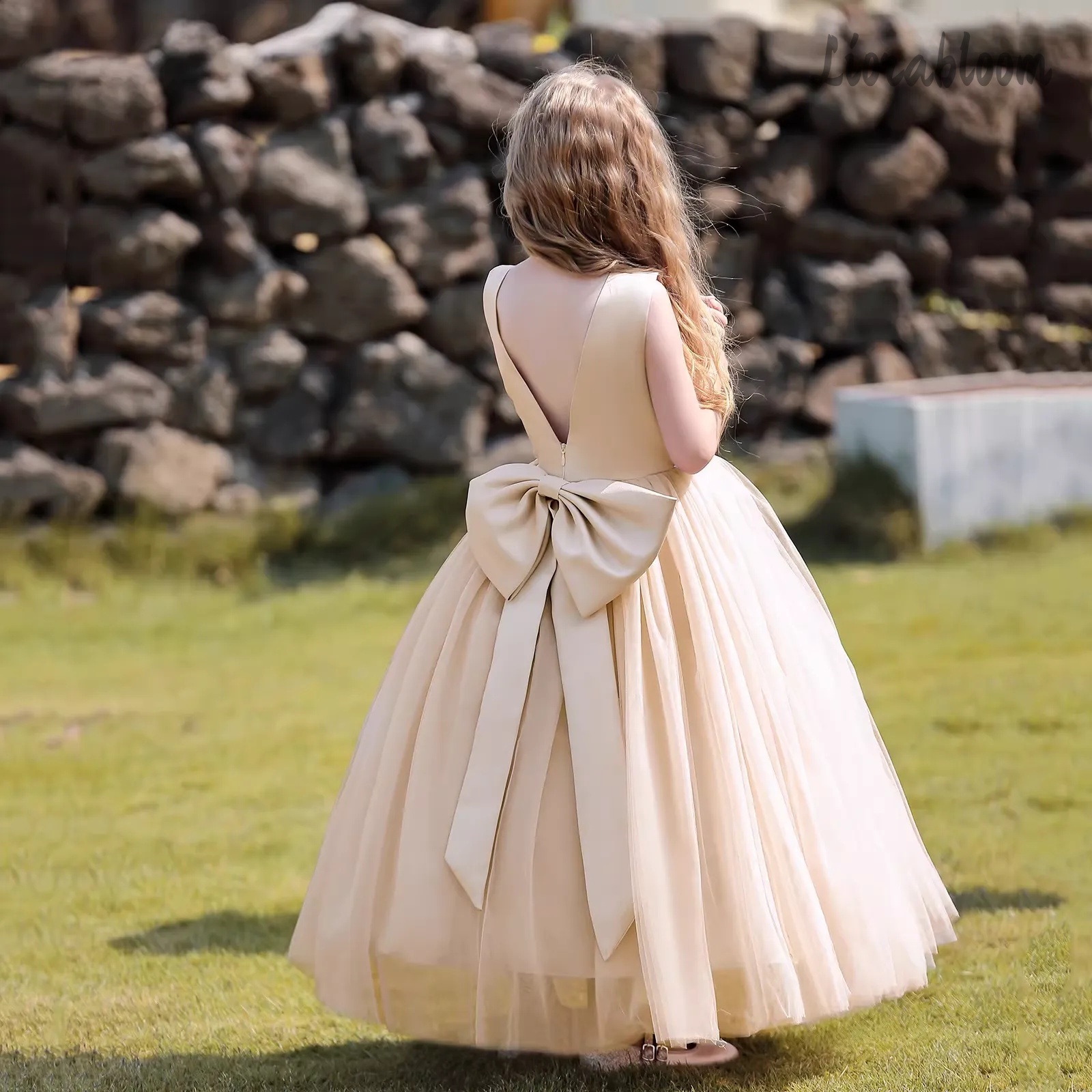 Multicolor Backless Princess D - огляд і ціна Women Formal Wear Dress